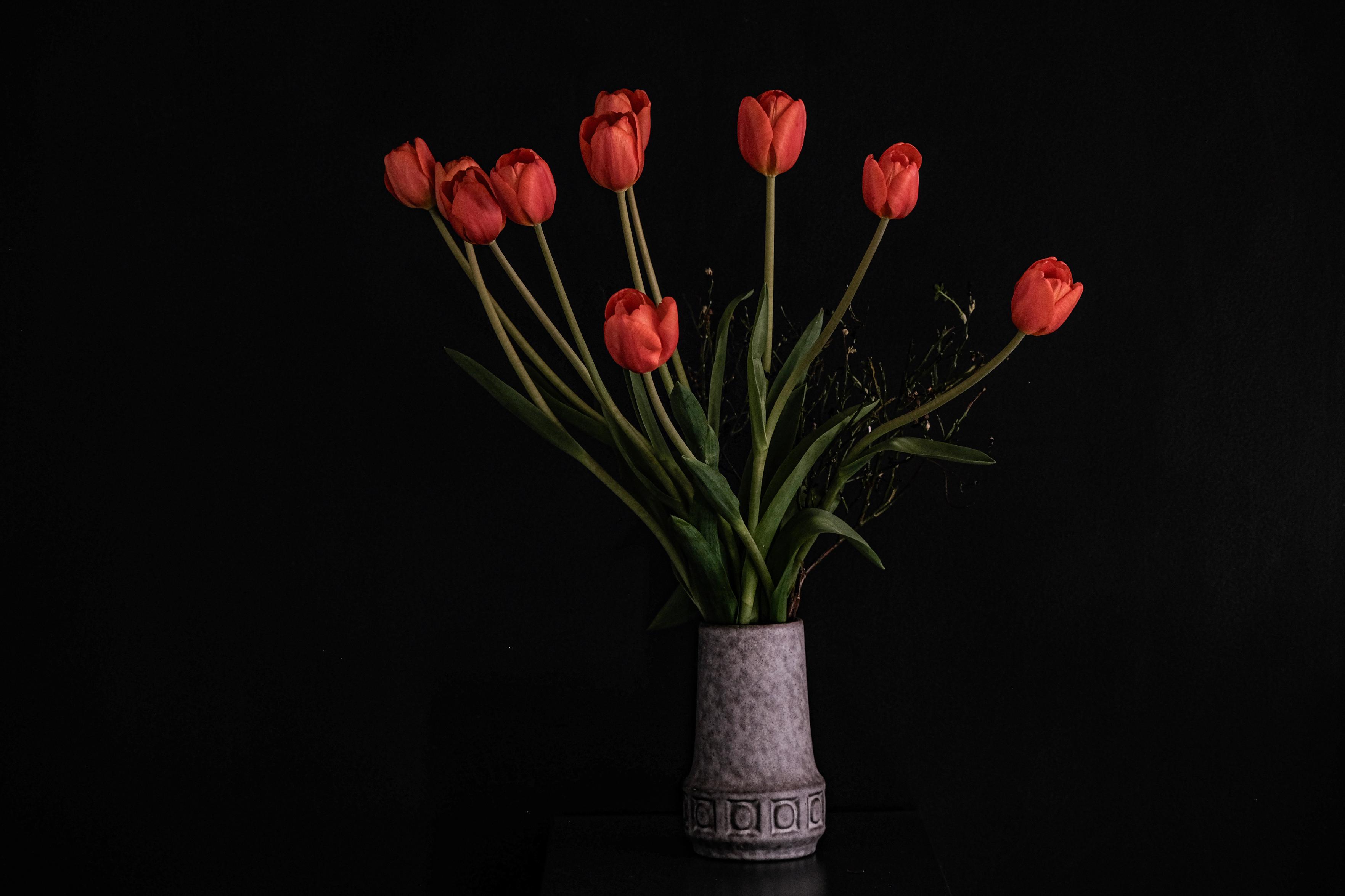 Strauss mit roten Tulpen vor einer schwarzen Wand
